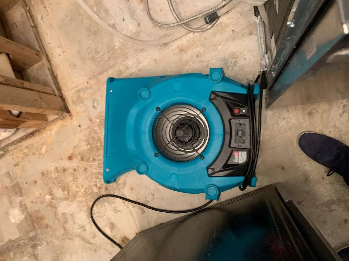 Air mover drying equipment for Mold Remediation & Removal in Tinley Park